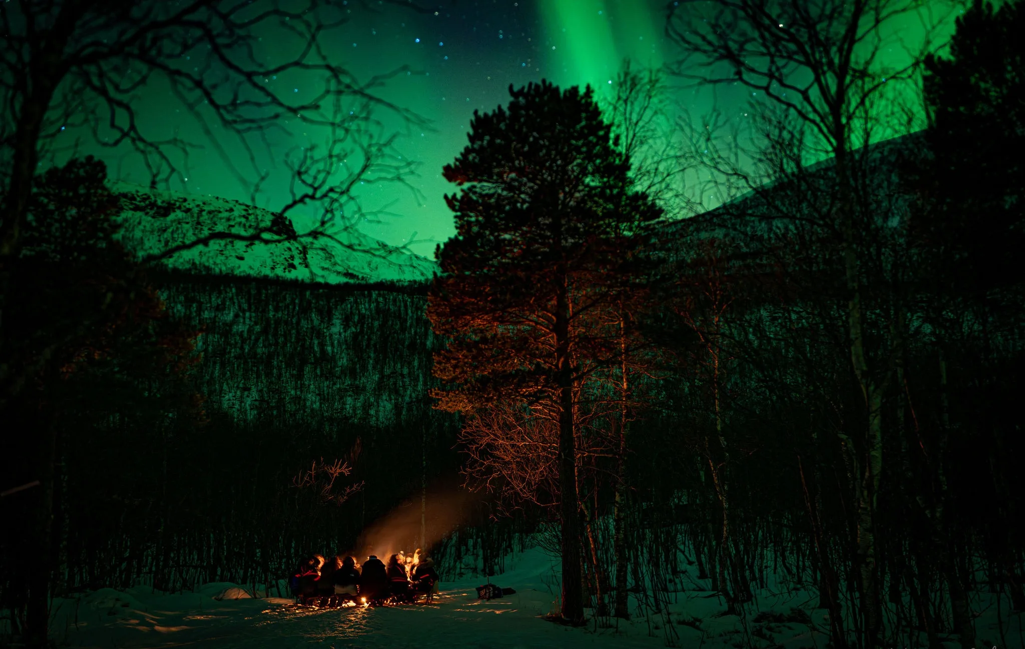Auroras boreales sobre el ártico noruego